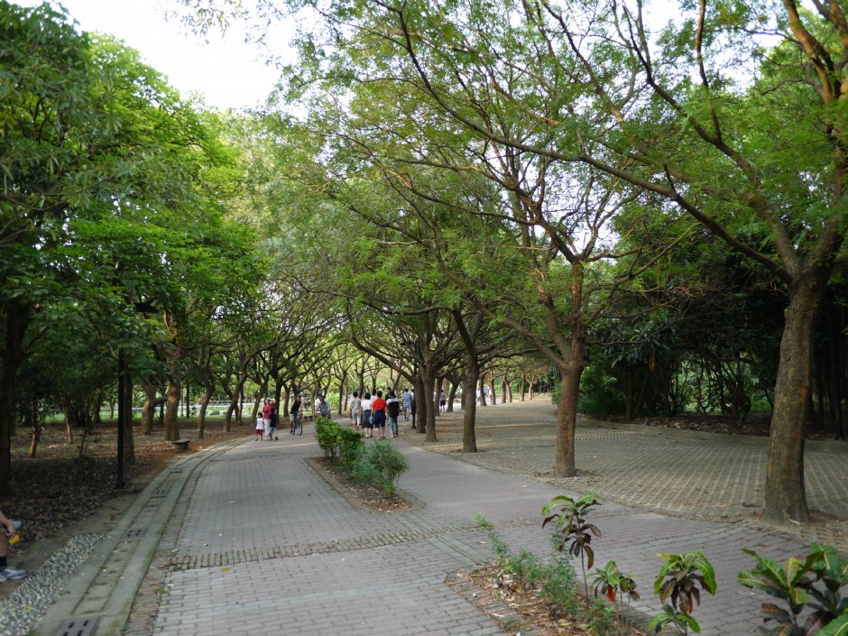 高雄都會公園 攝影：三個井