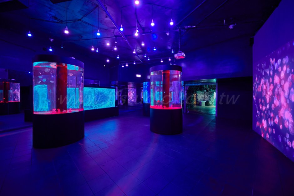 探險島水族館 攝影：遠雄海洋公園 提供