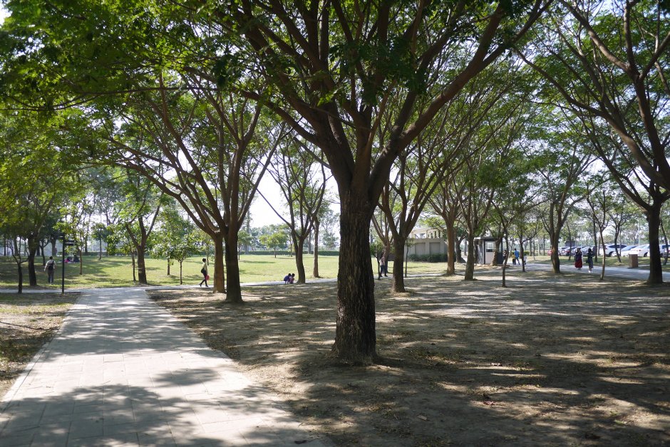 台南都會公園 攝影：旅遊王攝影組