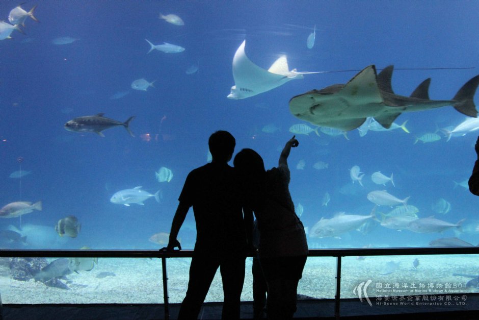 大洋池 攝影：國立海洋生物博物館