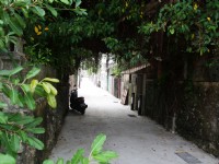 眷村文化園區(篤行十村)<br/> 攝影：sheng