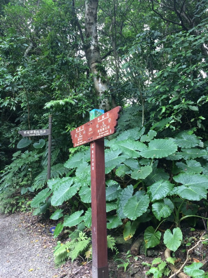 富陽自然生態公園 攝影：Eva隨手拍