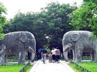 石像路-象<br/> 攝影：馮順