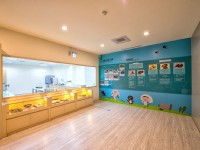 燕窩製程與分類展示<br/> 攝影：新百祿燕窩觀光工廠 提供