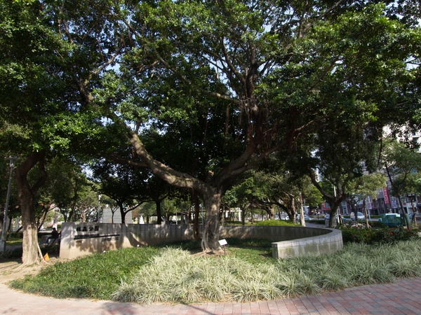林森公園 攝影：kavin