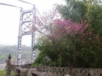 復興橋<br/> 攝影：Eva隨手拍