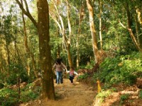 北線步道陡坡<br/> 攝影：老山羊部落格
