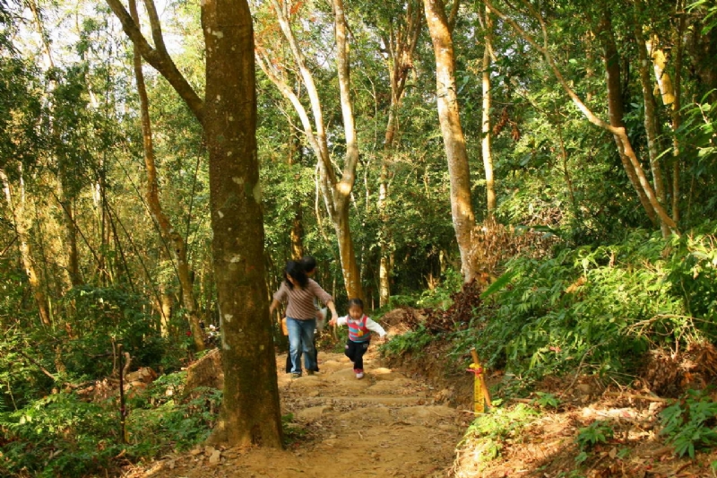 北線步道陡坡 攝影：老山羊部落格