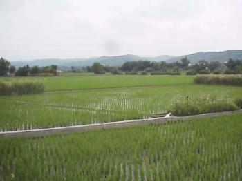田園風光 攝影：郭香妙