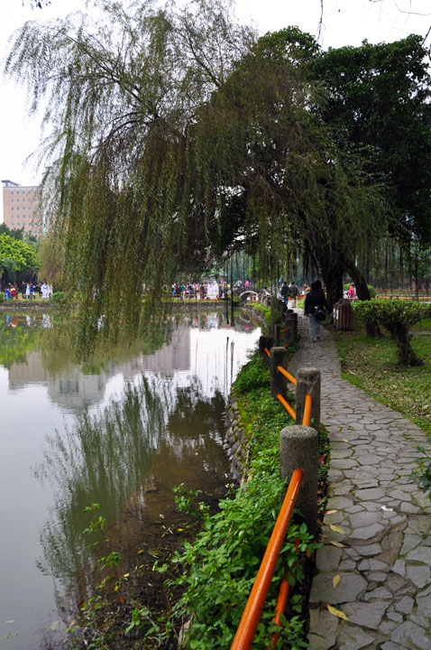 台大醉月湖.... 攝影：amo