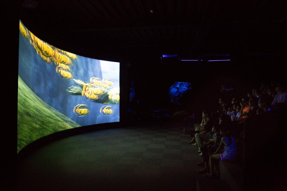 3D海洋劇場 攝影：寶熊漁樂館 提供