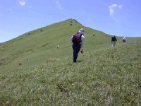 途中美麗的風景<br/> 攝影：阿英的登山小站