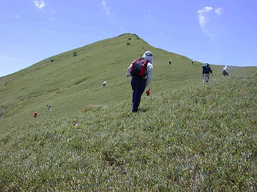 途中美麗的風景 攝影：阿英的登山小站