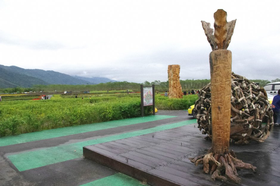 大農大富平地森林園區 攝影：Eva隨手拍
