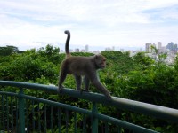 壽山國家自然公園<br/> 攝影：三井
