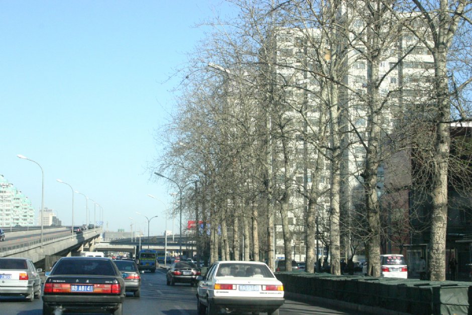 北京街景 攝影：馮順