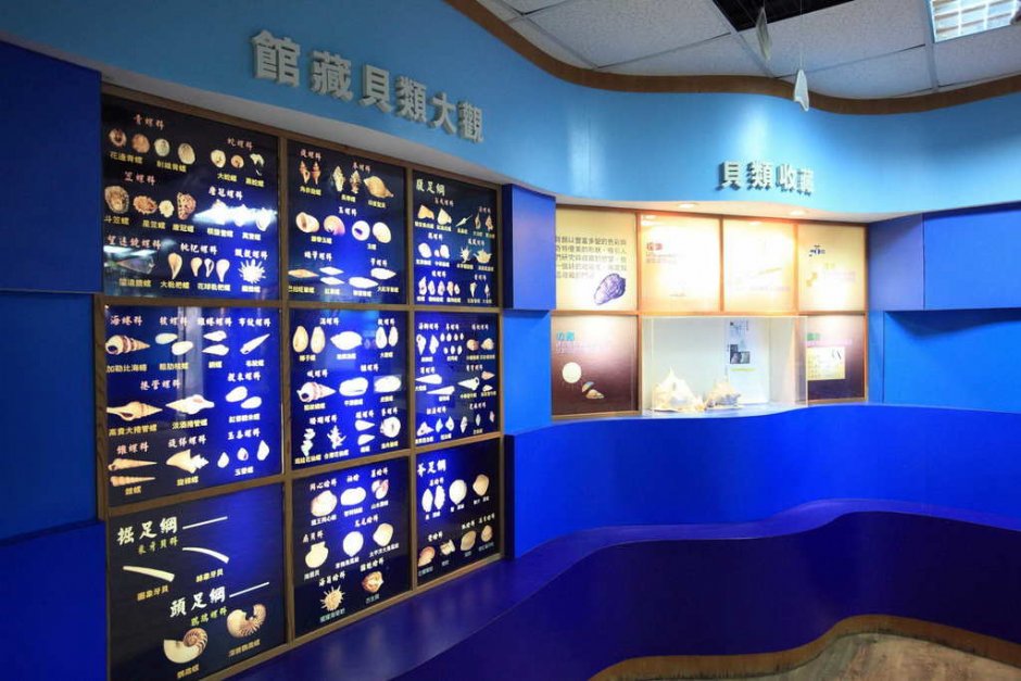 台東縣自然史教育館 攝影：台東觀光旅遊網 提供