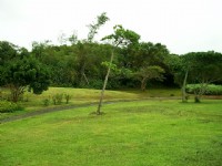 社頂自然公園<br/> 攝影：Eva隨手拍