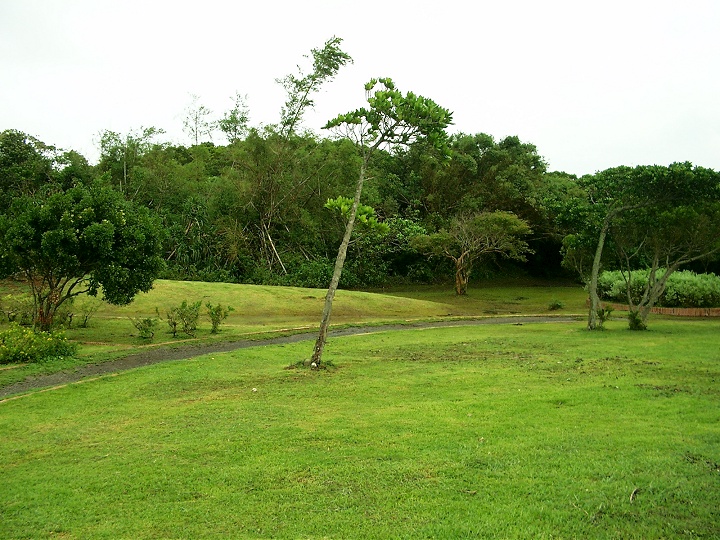 社頂自然公園 攝影：Eva隨手拍