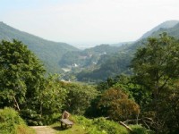 榕蔭步道觀知本地區<br/> 攝影：老山羊部落格