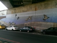 華江雁鴨自然公園<br/> 攝影：Eva隨手拍