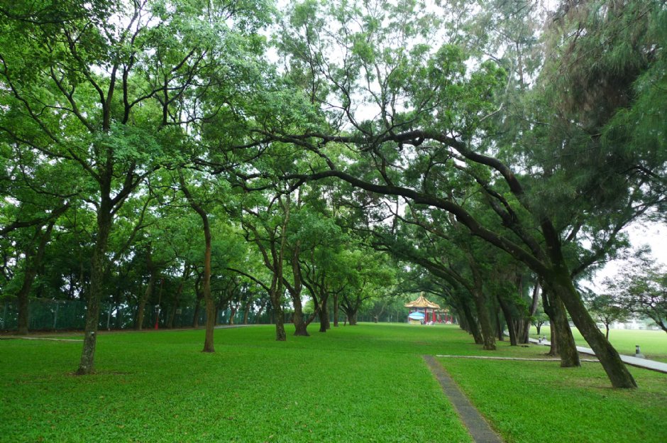 石門大草坪 攝影：Eva隨手拍