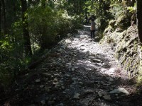 201507榛山步道<br/> 攝影：旅遊王攝影組