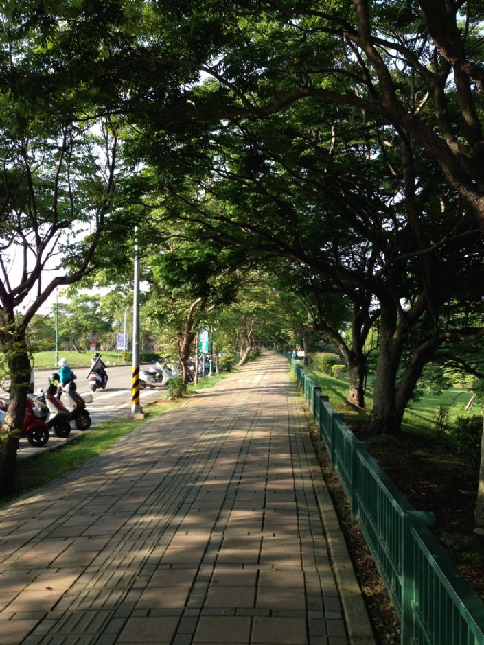 都會公園外圍綠色走廊 攝影：Kate