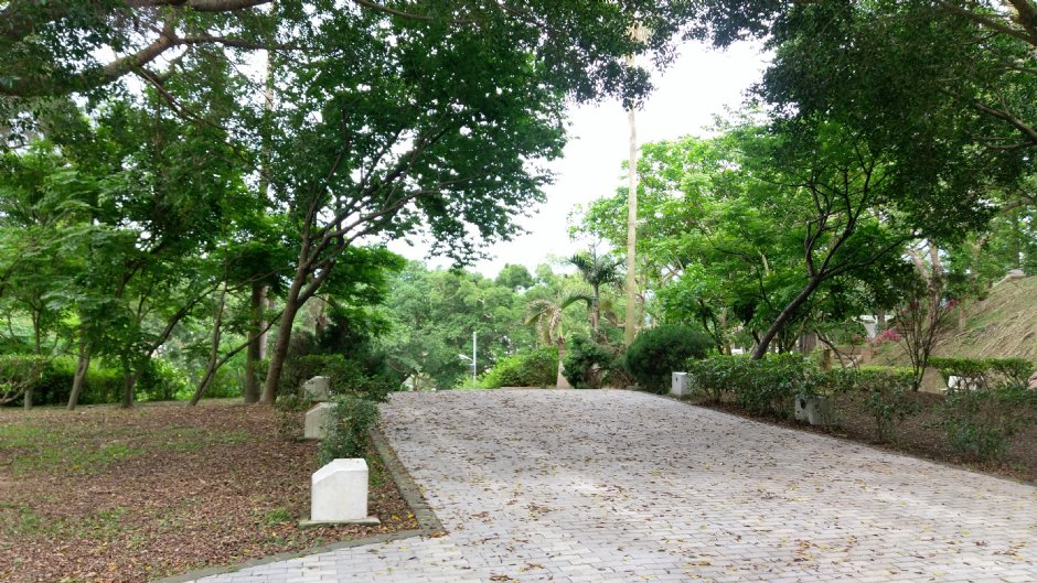 貓貍山公園 攝影：Eva隨手拍