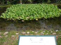原生植物園<br/> 攝影：三井