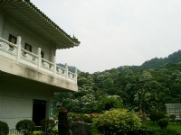 承天禪寺&油桐花<br/> 攝影：Eva隨手拍