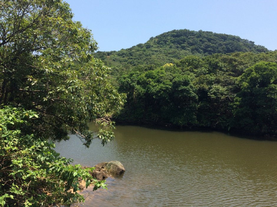 情人湖 攝影：Eva隨手拍