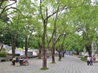 中台禪寺一景<br/> 攝影：Eva隨手拍