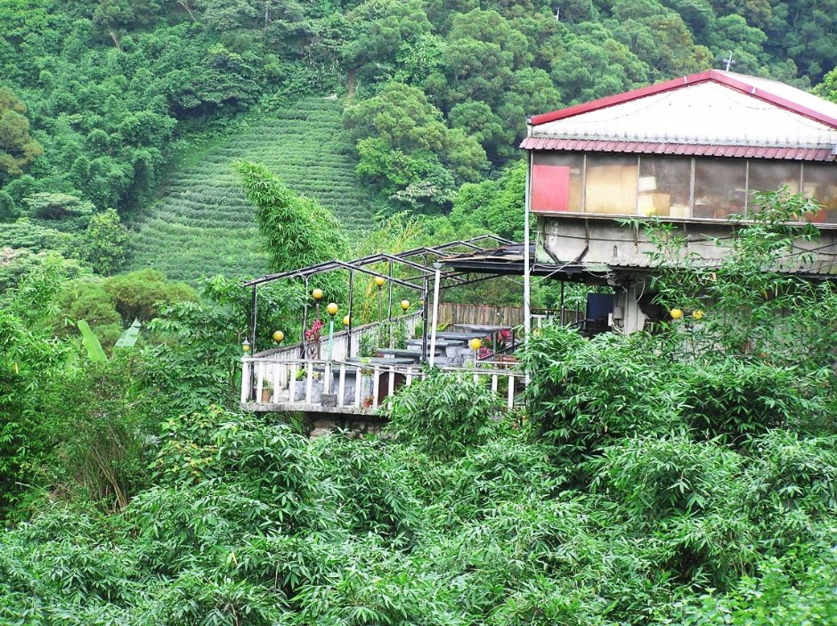 在一片青翠之間出現不諧調的建築 攝影：陳李豪