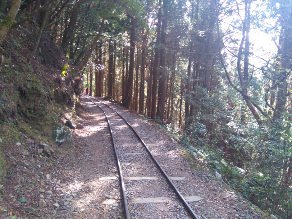 特富野古道 攝影：Lu