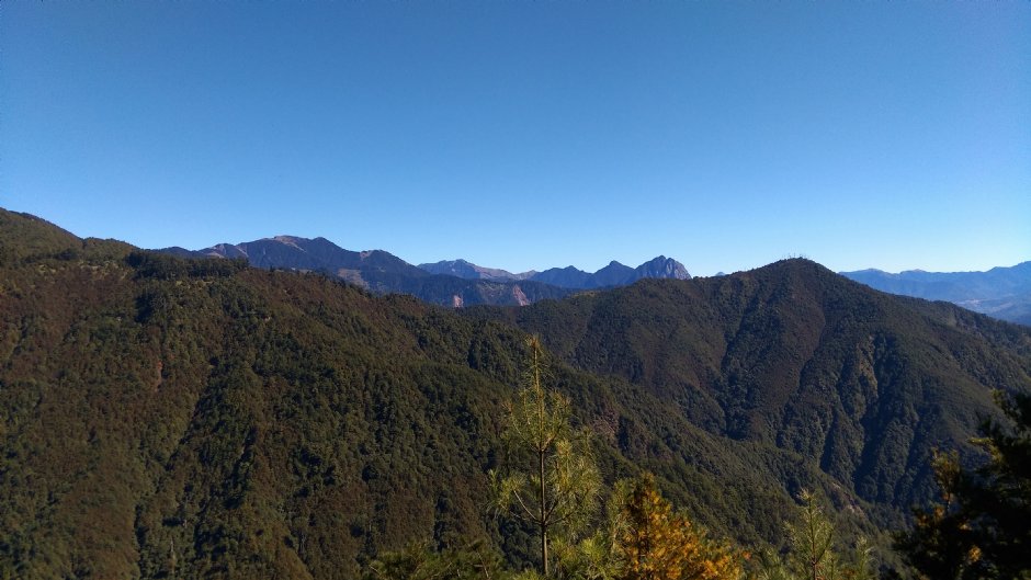 大雪山國家森林遊樂區 攝影：晏伶