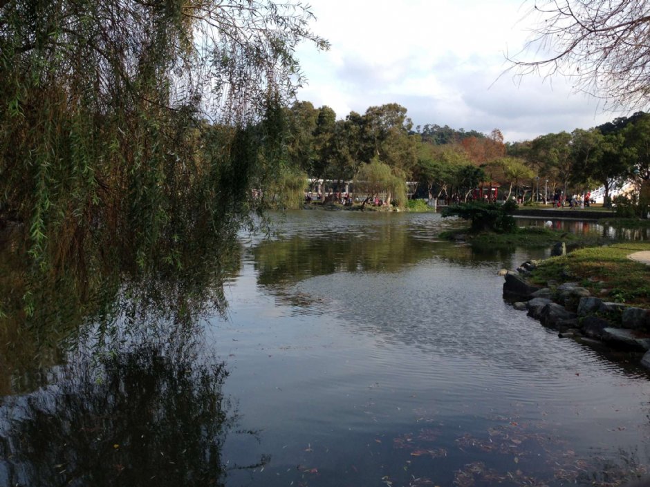 大湖公園 攝影：陳皮梅