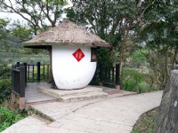 樟樹步道<br/> 攝影：Eva隨手拍