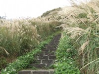 七星山主峰步道<br/> 攝影：Lu