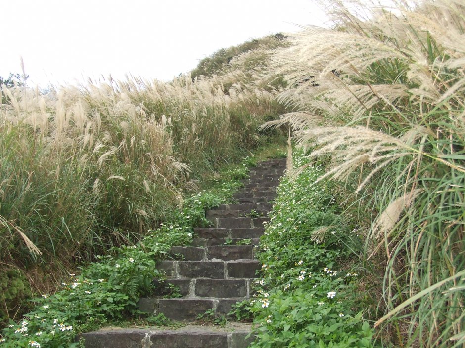 七星山主峰步道 攝影：Lu