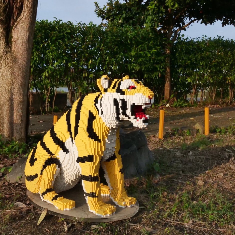 積木作品 攝影：樂色山提供