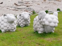 化仁海堤<br/> 攝影：Eva隨手拍