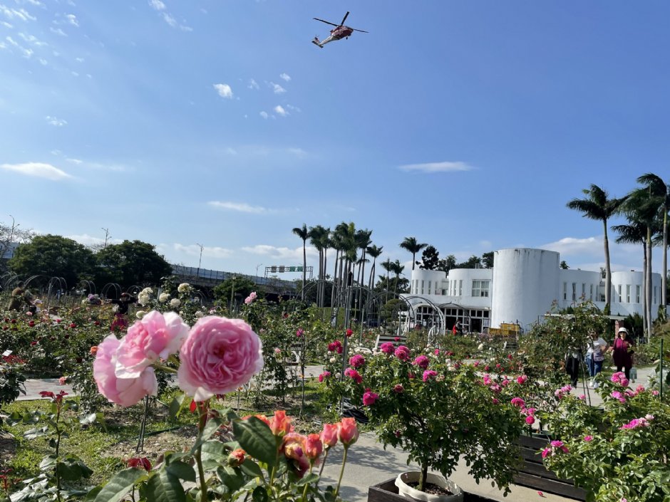 台北玫瑰園 攝影：Eva隨手拍