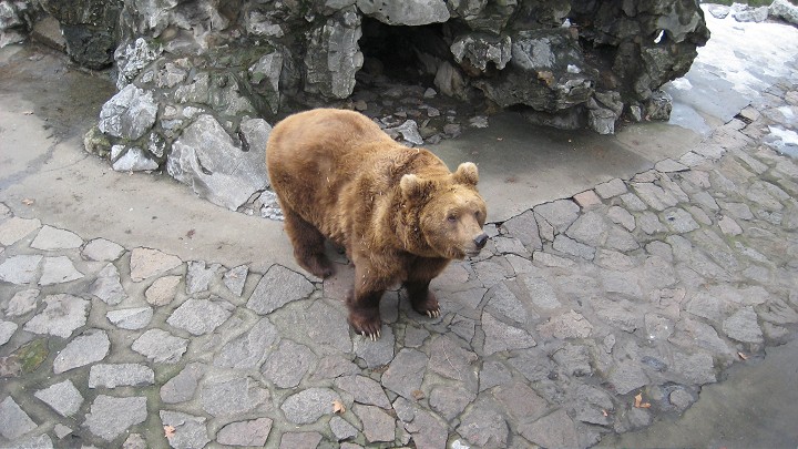 上海動物園 攝影：Crystal