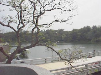 水壩上 攝影：郭香妙