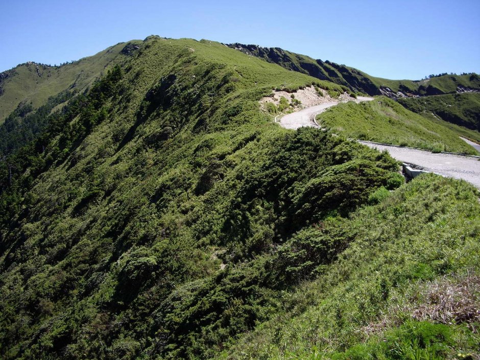 合歡主峰步道景色 攝影：老山羊部落格