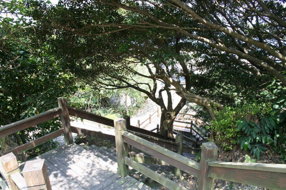 石門木棧道 攝影：老山羊部落格