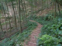 木馬古道<br/> 攝影：Eva隨手拍