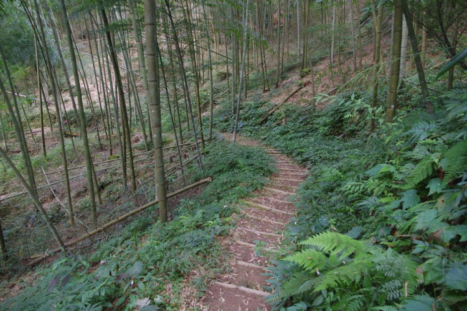 木馬古道 攝影：Eva隨手拍