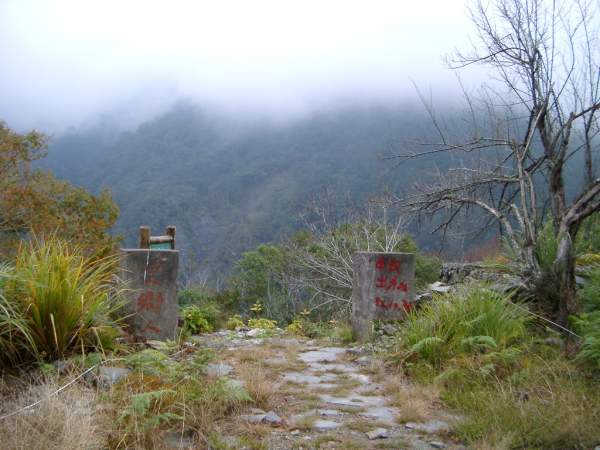 迷霧山林 攝影：老山羊
